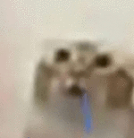 1000011419.gif