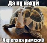 1000024661.jpg